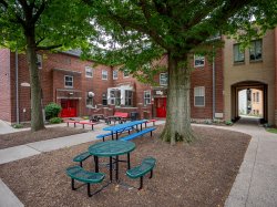 Trees provide shade for a courtyard and green, blue and red picnic tables and outdoor seating outside a brick building.
