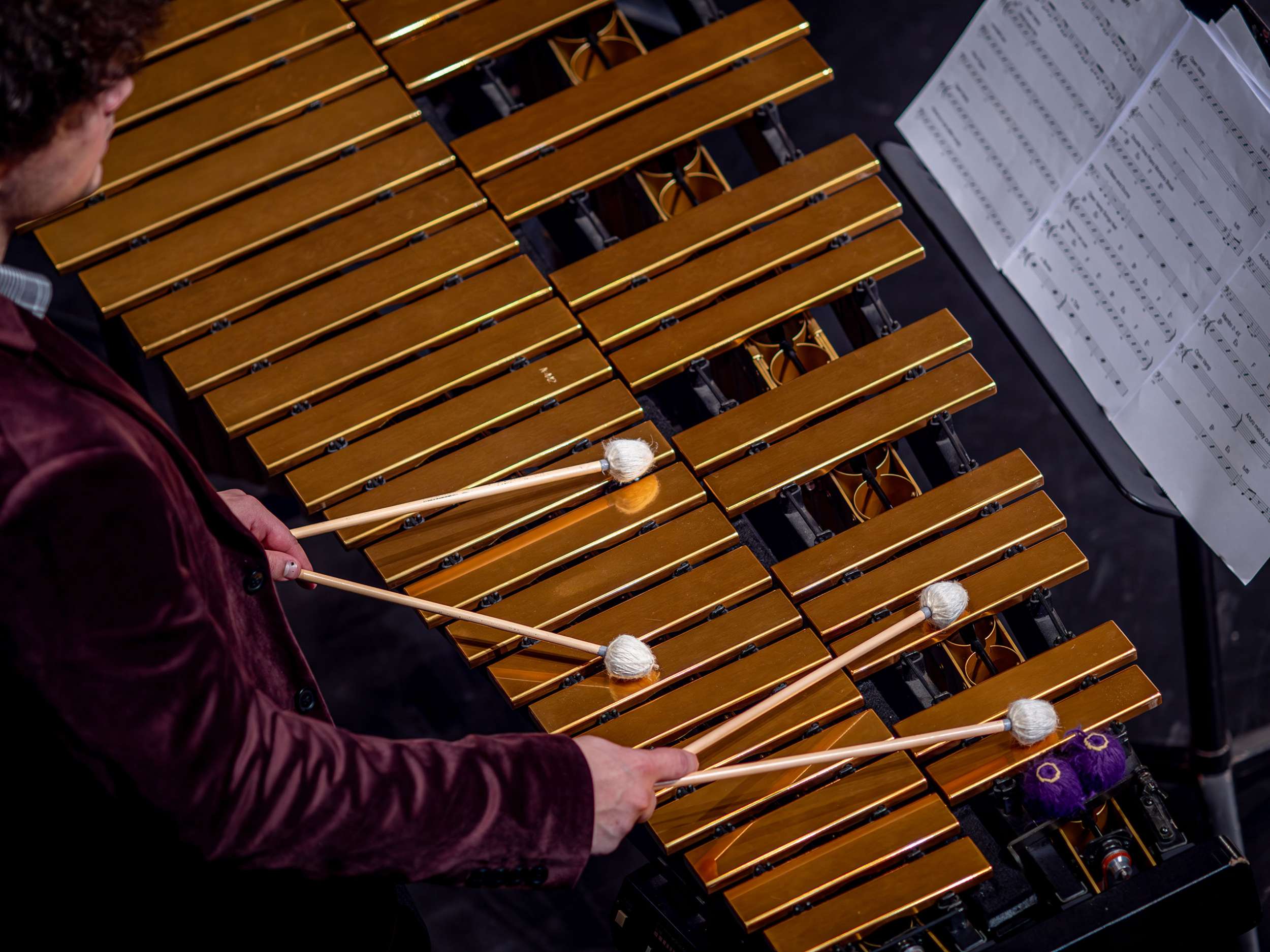 A student in a maroon jacket plays a brass vibraphone with mallets.
