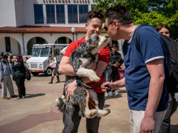 Casey Coleman cradles a fluffy black‑, white‑ and brown‑colored mini Bernedoodle while Johnny Ross leans in to greet the dog.