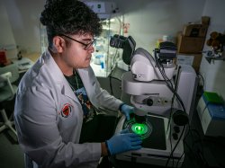 Melvin Rodriguez, wearing a white lab coat with a Montclair State University patch and blue gloves, sits at a fluorescent microscope in a dim lab. He looks intently through the eyepiece while holding a petri dish glowing bright green under the microscope lens, surrounded by scientific equipment and incubators in the background.