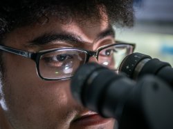 Close-up of Melvin Rodriguez’s eyes behind glasses as he leans into a microscope. The image captures his focused gaze and the reflection of lab light on the lenses.