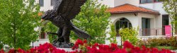 Large red hawk statue behind red flowers on campus