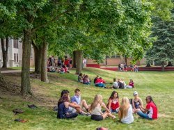 Groups of new students sitting in the Quad
