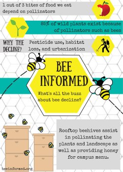 bee informed infographic