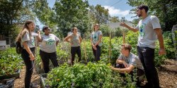 Newark Green Team in Community Garden
