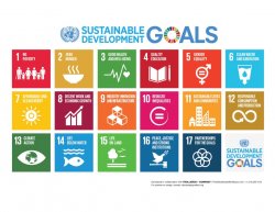 United Nations' Sustainable Development Goals