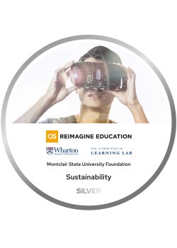 ReImagine Education Silver Sustainability Award