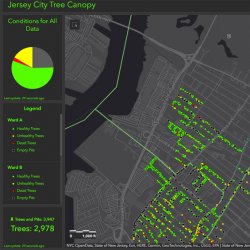 The City of Jersey City’s Green Team Project Mapping Tree Canopies in Jersey City