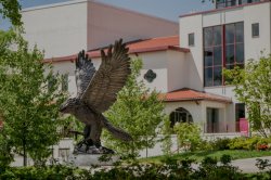 The Hawk Statue facing Kasser Theater.