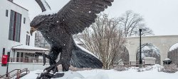 Red Hawk Statue covered in snow.