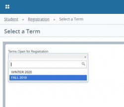 Screenshot of SSB registration