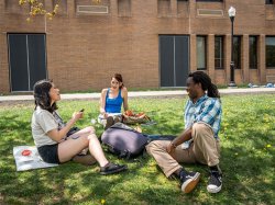 Students sitting in the grass outside of Calcia Hall having a conversation.