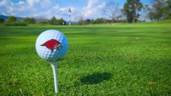 golf ball with red hawk logo sitting on tee