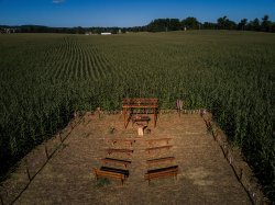 Image of a chapel in a cornfield