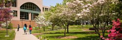 Image of Campus in Spring
