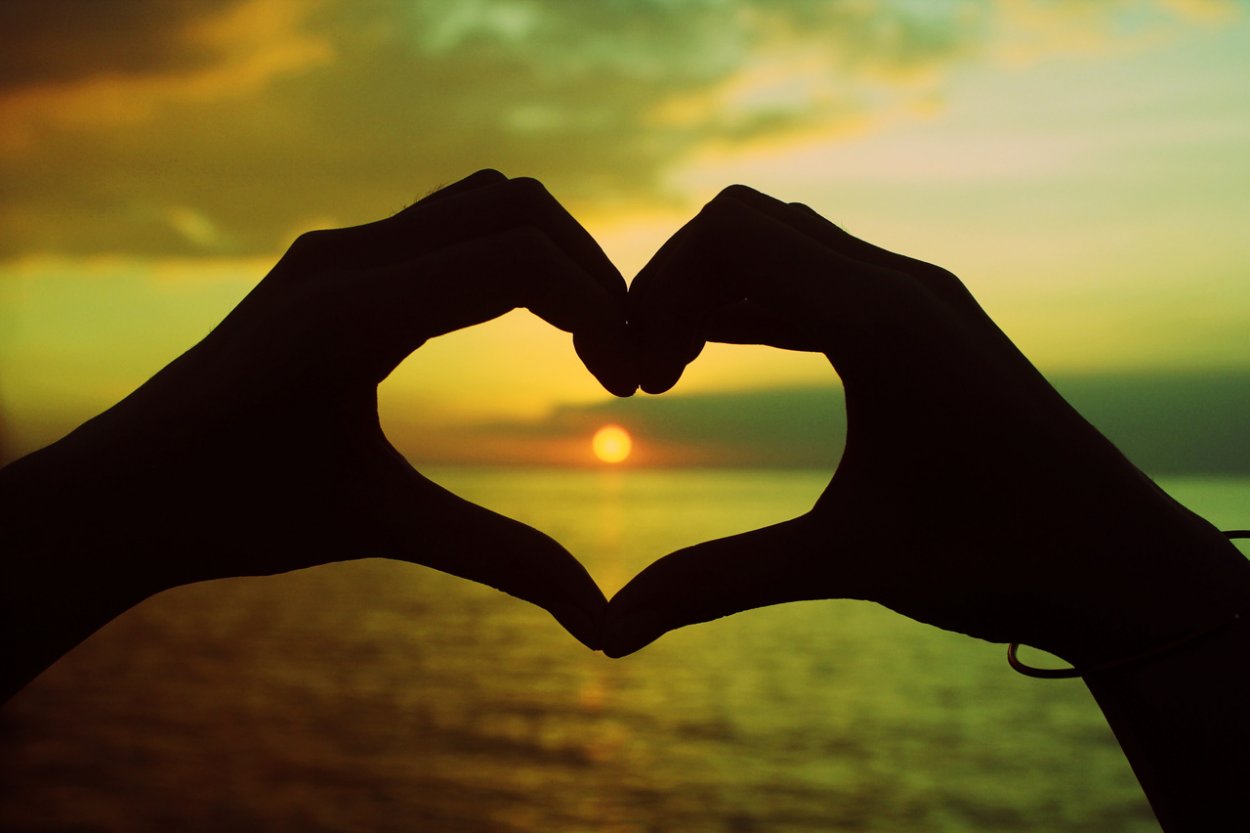 Mental Health First Aid Student Services Montclair State University