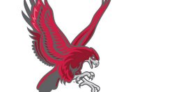 red hawk logo on white background