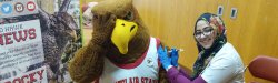 Picture of Rocky the Red Hawk getting his flu shot.