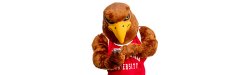Picture of Rocky the Red Hawk using his cell phone.