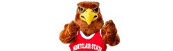 Rocky the Red Hawk pointing at you!