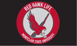 Red Hawk Life logo
