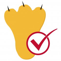 Graphic of a yellow Rocky foot with a check mark