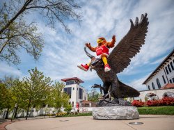 Rock the Red Hawk on the campus hawk statue
