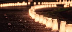 Image of luminaries in a row.