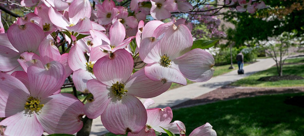 Bill For Spring 2023 Semester – Student Services - Montclair State  University