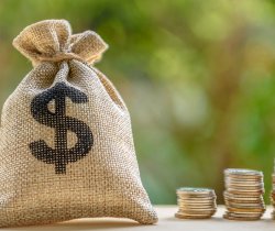 Bag with dollar sign and stacks of coins