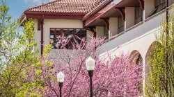 campus in the spring