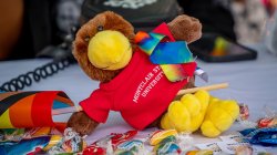 rocky doll at pride