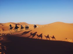 Students touring desert on camel