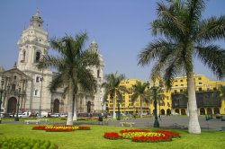 Cathedral at Plaza Mayor, Lima, Peru, with palm trees and flowers.