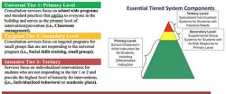 Graphic of Essential Tiered System Chart