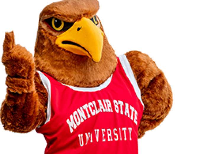 Red Hawk Brand Guide University Communications And Marketing Montclair State University