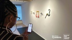 University Galleries