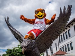Rocky sitting on top of the Red Hawk Statue