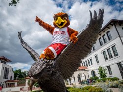 Rocky sitting on top of the Red Hawk Statue.