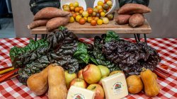 A Farm Box display arranged on a red-and-white checkered tablecloth features whole apples, butternut squash, rainbow chard with green and dark red leaves, sweet potatoes, colorful cherry tomatoes in bowls, acorn squash, and blocks of locally made Colby cheese.