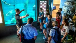 Weston students on aquarium field trip