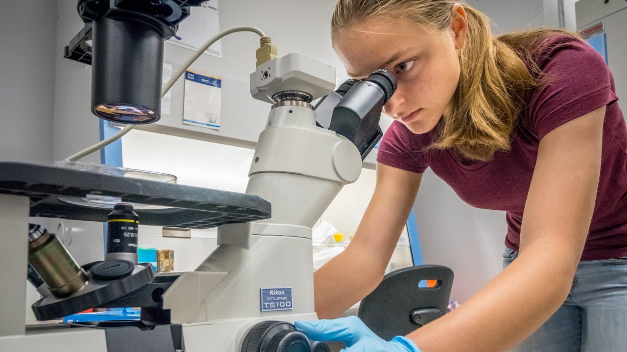 Applying For Weston Science Scholars Weston Science Scholars