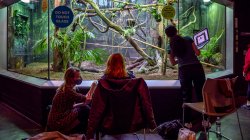 Three students in the Reptile House at Turtle Back Zoo