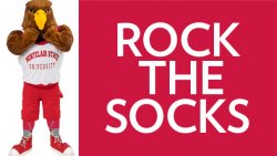 Rock the Socks