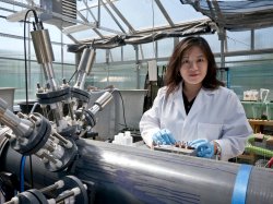 Meiyin Wu in a greenhouse using laboratory equipment