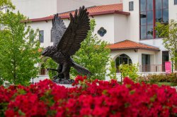Hawk statue on campus framed by red blooming flowers in the foreground