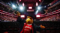 Montclair State mascot Rocky the Red Hawk in graduation cap at commencement.