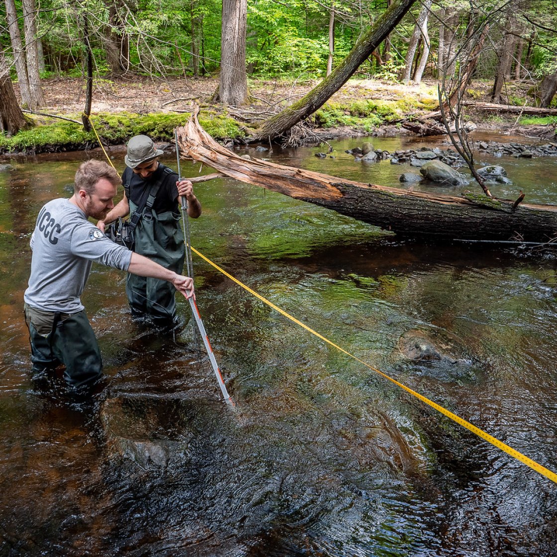 Two field researchers in waders stand knee-deep in a stream, using a long measuring rod and yellow tape to take measurements near a fallen tree trunk spanning the water.