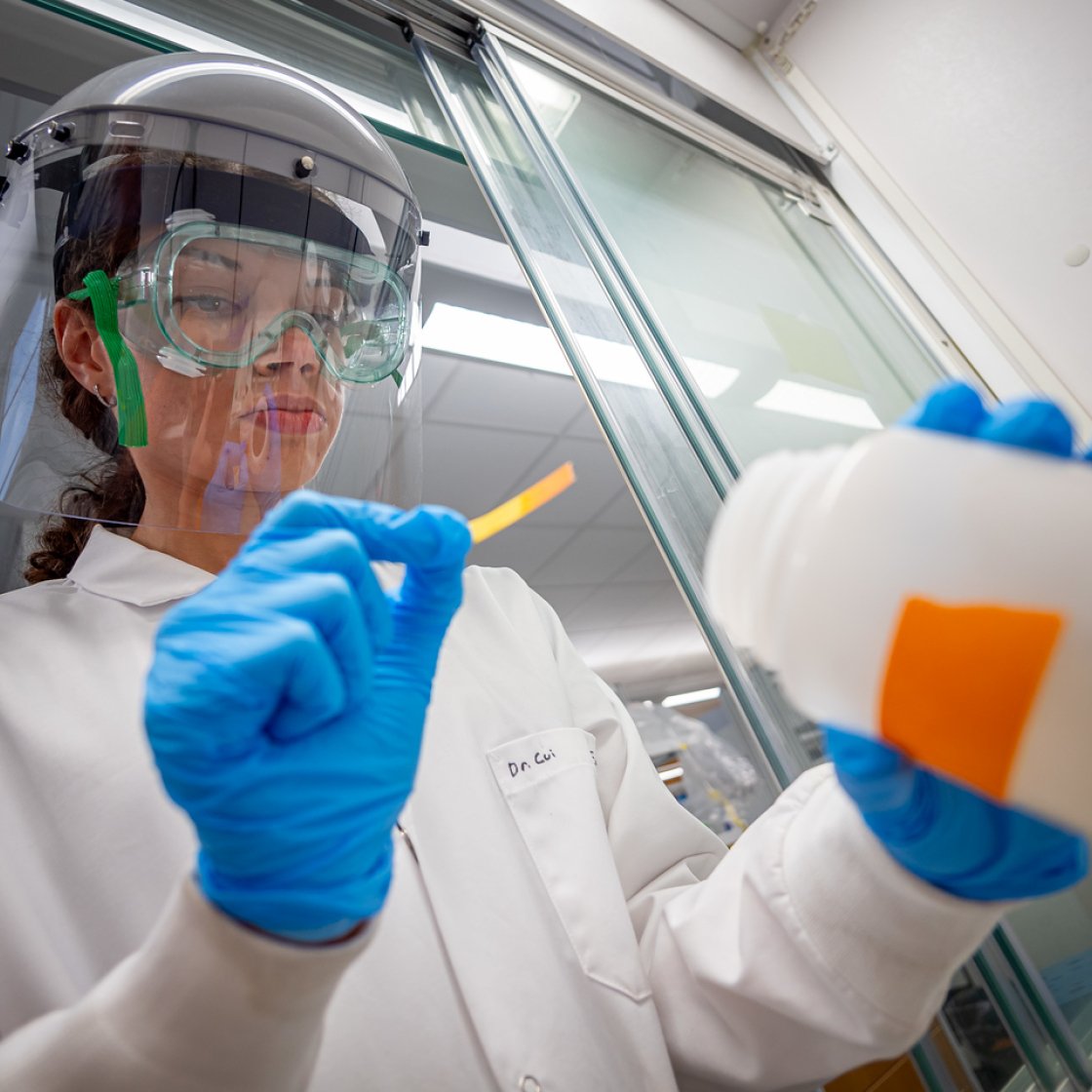 A student in a white lab coat, face shield and blue gloves holds a white plastic container and a thin test strip in a laboratory.