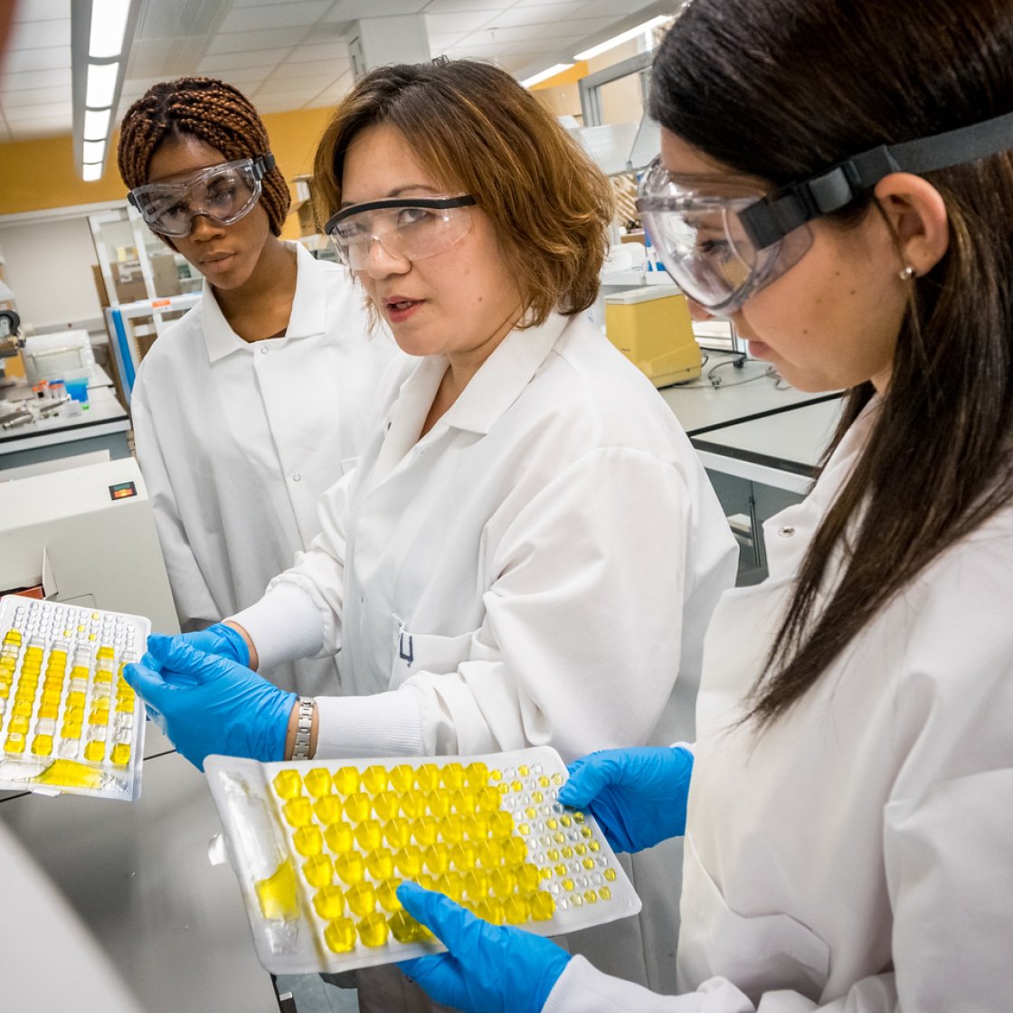 A professor works with graduate students in lab coats and blue gloves examining trays of yellow samples together in a science laboratory.